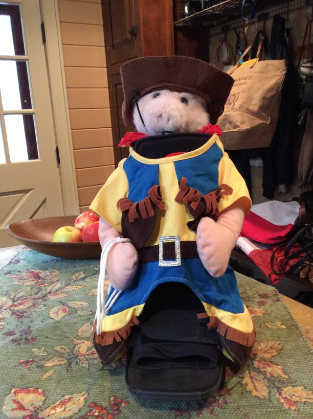 Doggie costume on the soft boot I have been wearing for last 7  weeks long with a piggy puppet stuck in the front.